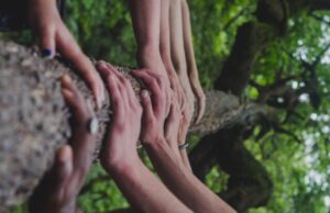 Έμπρακτη στήριξη στους πυρόπληκτους της ορεινής Λεμεσού από Λεμεσιανές εταιρείες και ιδρύματα