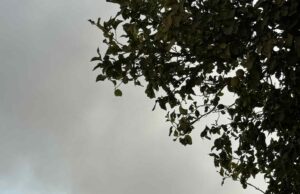 Συναγερμός με Φωτιά στα Πολεμίδια – Ενεργοποιούνται πτητικά μέσα για την κατάσβεση (ΕΙΚΟΝΕΣ)