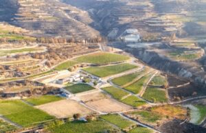 Vlassides Winery: Όταν η ελπίδα στην καμένη γη του Κοιλανιού γίνεται «ένα» με τους αμπελώνες…