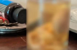 Αδιανόητο εύρημα στην Αττική: Ανθρώπινο έμβρυο σε γυάλινο μπουκάλι μέσα σε διαμέρισμα συλλέκτη αρχαιοτήτων