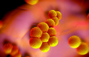 Σταφυλόκοκκος στα παιδιά: Συμπτώματα, κίνδυνοι και μέτρα προστασίας