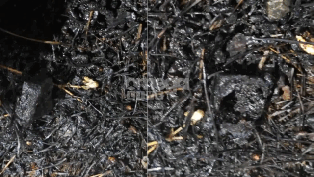 untitled-design-2025-09-05t082604.143