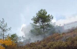Πρόλαβε τα χειρότερα το Τμήμα Δασών στο Εθνικό Δασικό Πάρκο Μαχαιρά – Ξέσπασε φωτιά μετά από πτώση κεραυνού