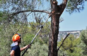 Κλειστός ο δρόμος Σαϊττά–Πέρα Πεδίου λόγω εκτέλεσης δασοκομικών εργασιών