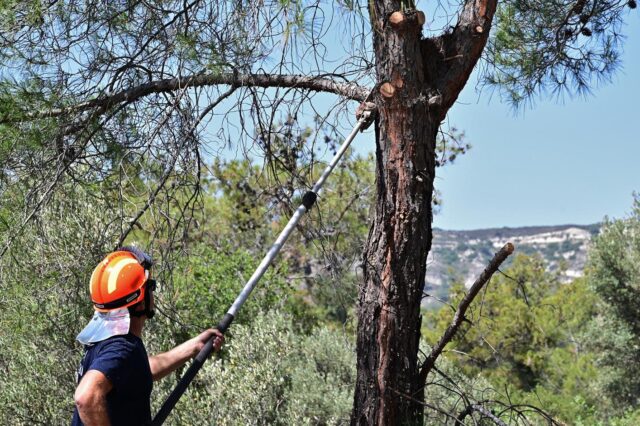 Κλειστός ο δρόμος Σαϊττά–Πέρα Πεδίου λόγω εκτέλεσης δασοκομικών εργασιών
