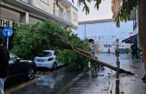 Λεμεσός: Ξεριζώθηκε δέντρο και έπεσε σε σταθμευμένο αυτοκίνητο
