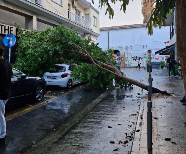 Ξεριζώθηκε δέντρο και έπεσε σε σταθμευμένο αυτοκίνητο
