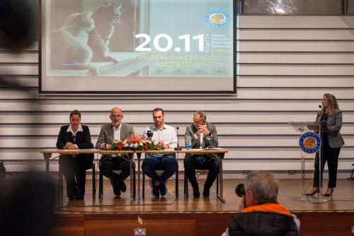 Ξεκινά πρόγραμμα στείρωσης αδέσποτων γάτων ο Δήμος Λεμεσού