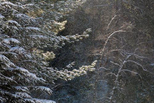 Αναστολή λειτουργίας κατασκηνωτικού χώρου Πλατανιών για εργασίες αναβάθμισης