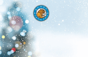 Φωταγώγηση του Χριστουγεννιάτικου δέντρου στο Δημοτικό Διαμέρισμα Μέσα Γειτονιάς με μουσική, χορό και εκπλήξεις