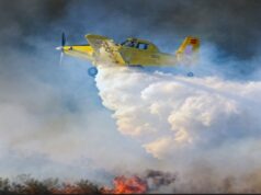 Σκάνδαλο στο Τμήμα Δασών: Εισηγήσεις για ποινικές διώξεις σε 14 πρόσωπα – Στο μικροσκόπιο ύποπτες μισθώσεις