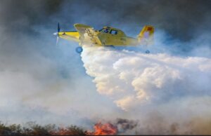 Σκάνδαλο στο Τμήμα Δασών: Εισηγήσεις για ποινικές διώξεις σε 14 πρόσωπα – Στο μικροσκόπιο ύποπτες μισθώσεις