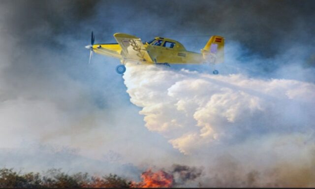 Εισηγήσεις για ποινικές διώξεις σε 14 πρόσωπα – Στο μικροσκόπιο ύποπτες μισθώσεις