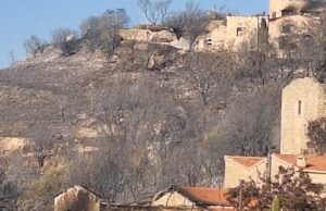 Έργο αποκατάστασης πυρόπληκτής περιοχής ξεκινά η ΑΚΤΗ με τη στήριξη της Chevron