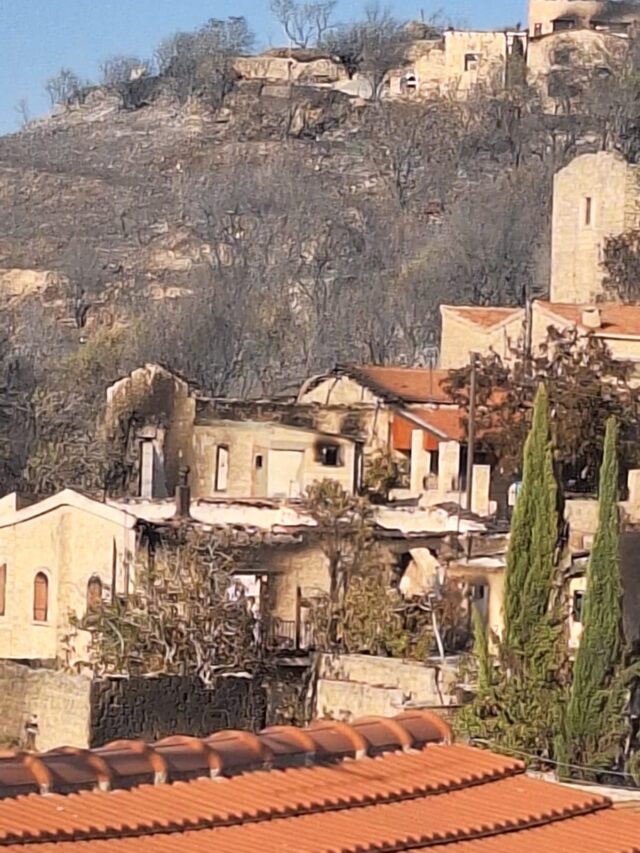 Έργο αποκατάστασης πυρόπληκτής περιοχής ξεκινά η ΑΚΤΗ με τη στήριξη της Chevron