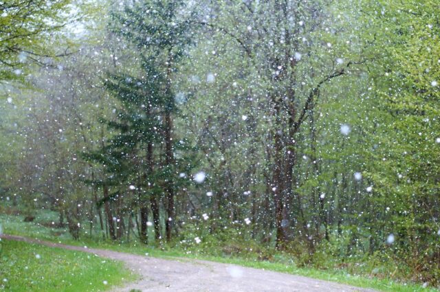rain-2775032_1280.jpg