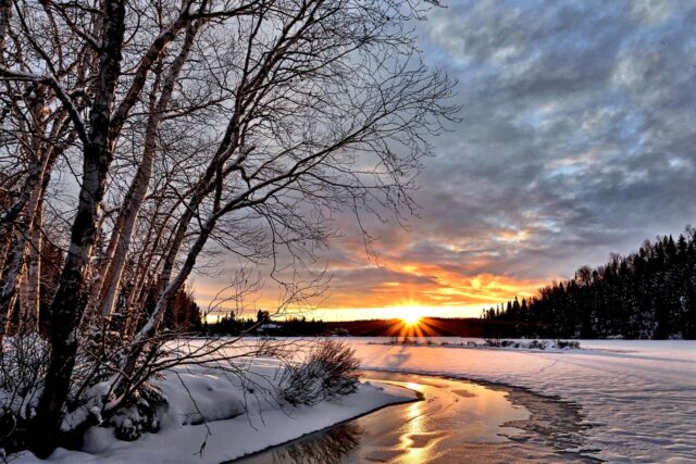 winter-landscape-2995987_1280.jpg