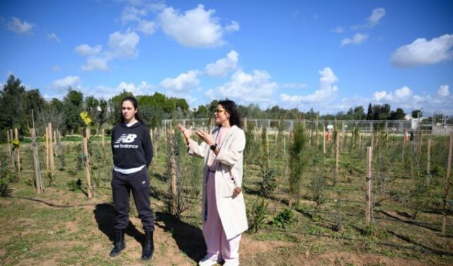 Το πρώτο Tiny Forest στην Κύπρο ανοίγει τον δρόμο για περισσότερο πράσινο στις πόλεις Το πρώτο Tiny Forest στην Κύπρο ανοίγει τον δρόμο για περισσότερο πράσινο στις πόλεις
