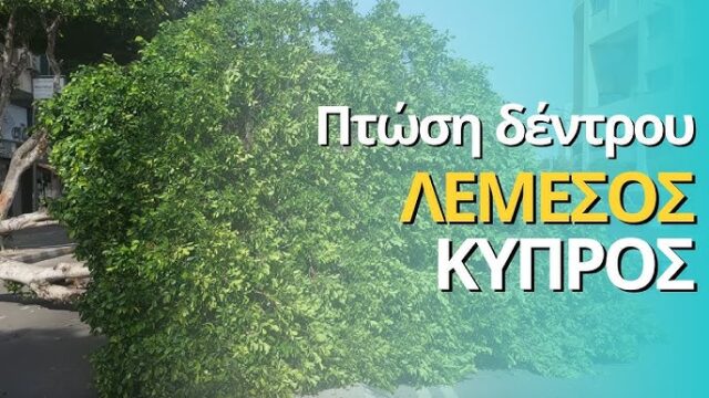 «Μας πήρε και μας σήκωσε» στη Λεμεσό! Πτώση δέντρου σε πλατεία και πάσσαλου – Διακοπές ρεύματος σε περιοχές «Μας πήρε και μας σήκωσε» στη Λεμεσό! Πτώση δέντρου σε πλατεία και πάσσαλου – Διακοπές ρεύματος σε περιοχές
