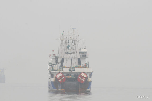 Η Oceana καταθέτει οδικό χάρτη για έναν ανθεκτικό και ανταγωνιστικό τομέα θαλάσσιων τροφίμων έως το 2040 Η Oceana καταθέτει οδικό χάρτη για έναν ανθεκτικό και ανταγωνιστικό τομέα θαλάσσιων τροφίμων έως το 2040