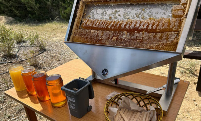 Ένα “γλυκό” ταξίδι στη φύση: Ανακάλυψε το Antelia Bee Park στην Κύπρο Ένα “γλυκό” ταξίδι στη φύση: Ανακάλυψε το Antelia Bee Park στην Κύπρο