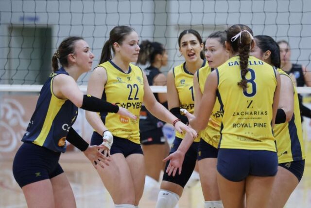 aelvoleyginekon.jpg