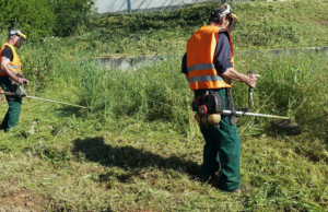 Δήμος Κουρίου: Υποχρεωτικός καθαρισμός οικοπέδων μέχρι 15 Απριλίου – Χρέωση €0,50 ανά τ.μ. σε όσους δεν συμμορφωθούν