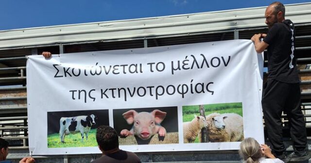 ΡΙΖΟΕΛΙΑ: Έληξε η κινητοποίηση των κτηνοτρόφων το πρωί – Κανονικά η κυκλοφορία στον κυκλικό κόμβο ΡΙΖΟΕΛΙΑ: Έληξε η κινητοποίηση των κτηνοτρόφων το πρωί – Κανονικά η κυκλοφορία στον κυκλικό κόμβο