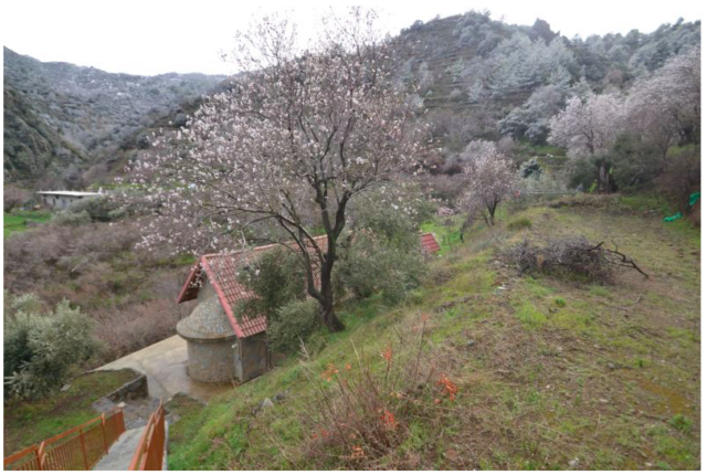 Παναγία Χρυσογαλούσα: Το εκκλησάκι που κουβαλά μια χαμένη ιστορία μέσα στο δάσος