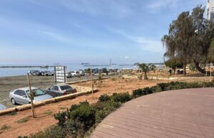 Νέος «αέρας» στο παραλιακό της Λεμεσού με δέντρα και υποδομές (Φωτογραφίες)