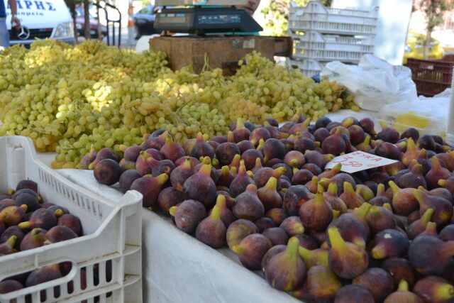 figs-2503721_1280-1.jpg
