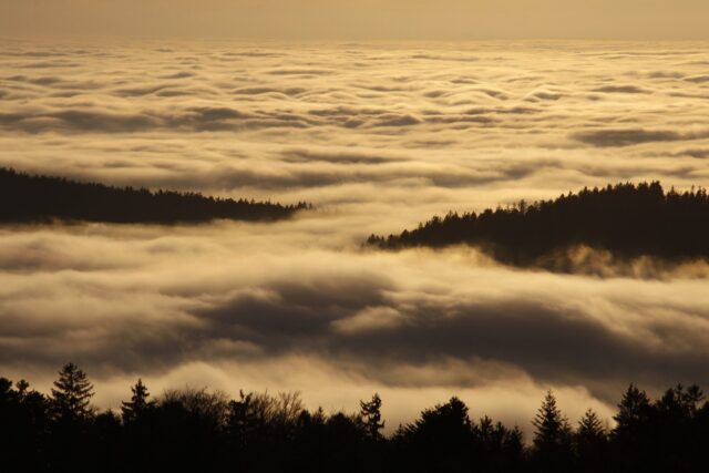 above-the-clouds-4950205_1280.jpg