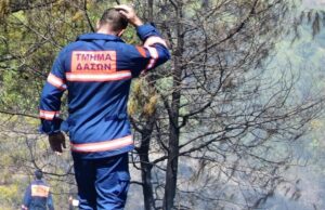 Δεν πάνε σε 48ωρη απεργία οι Δασοπυροσβέστες