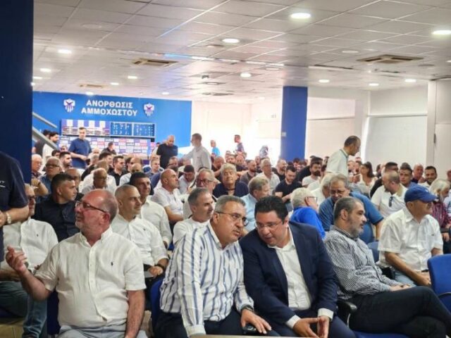 anorthosissinelefsi.jpg