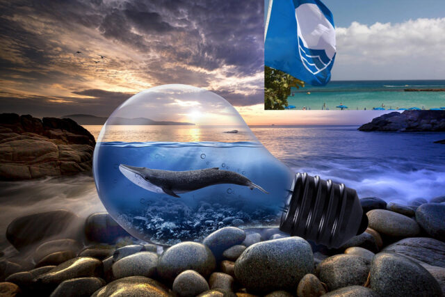 blue-whale-6792245_1280.jpg