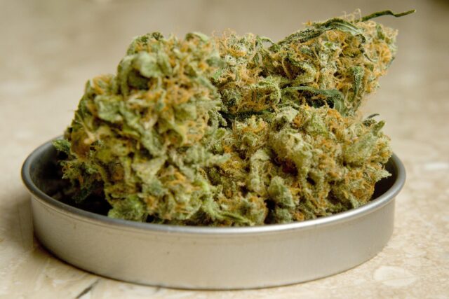 marijuana-3669791_1280.jpg