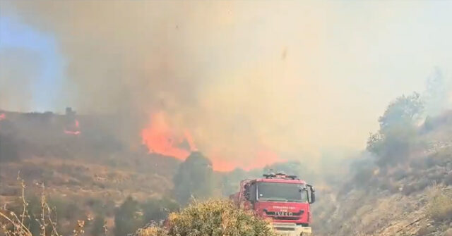 ΦΩΤΙΑ ΑΓΙΑ ΑΝΝΑ: Έκρηξη οργής από Αναστάση Γεωργίου – «Να συλληφθεί ο Υπουργός Άμυνας», καταγγέλλει καθυστέρηση στο CY ALERT ΦΩΤΙΑ ΑΓΙΑ ΑΝΝΑ: Έκρηξη οργής από Αναστάση Γεωργίου – «Να συλληφθεί ο Υπουργός Άμυνας», καταγγέλλει καθυστέρηση στο CY ALERT