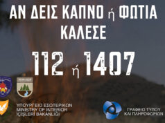Υπό πλήρη έλεγχο δασικές πυρκαγιές στις κοινότητες Ανδρολίκου και Δρούσειας της επαρχίας Πάφου