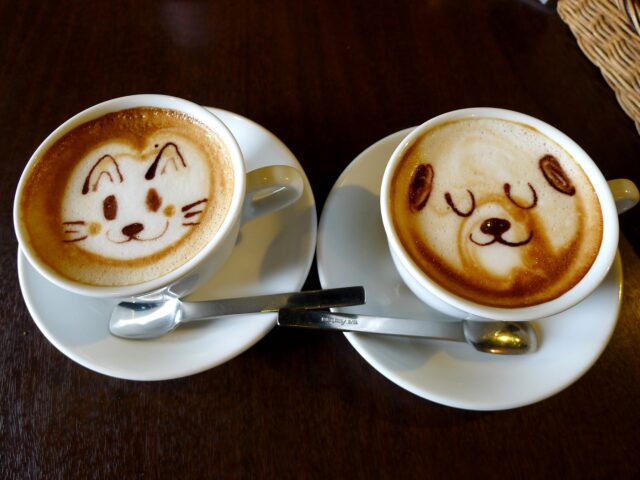3137490-coffee-5965985_1920.jpg
