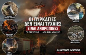 Άποψη: Πόσες ακόμη πυρκαγιές χρειάζονται για να βάλουμε μυαλό;