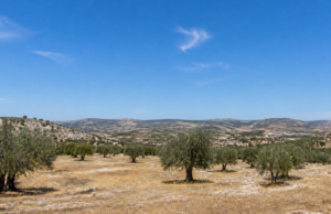 Καιρός: Στους 39 βαθμούς σήμερα η θερμοκρασία στο εσωτερικό