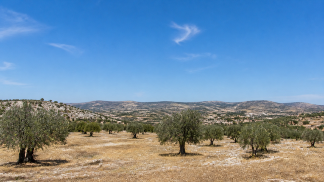 Καιρός: Στους 39 βαθμούς σήμερα η θερμοκρασία στο εσωτερικό