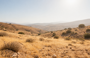 Στους 40 βαθμούς η θερμοκρασία στο εσωτερικό – Κίτρινη προειδοποίηση την Πέμπτη Η εικόνα αποτελεί προϊόν Τεχνητής Νοημοσύνης.