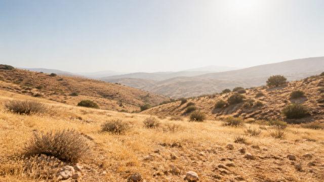 Η εικόνα αποτελεί προϊόν Τεχνητής Νοημοσύνης.
