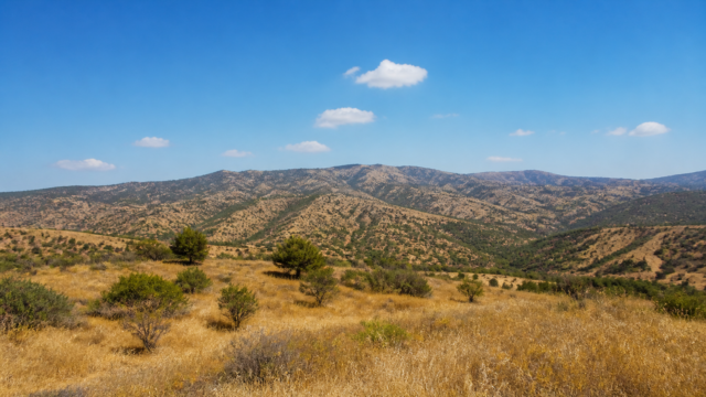 Πανοραμική, ουδέτερη θερινή εικόνα κυπριακού τοπίου με καθαρό ουρανό και λίγες νεφώσεις