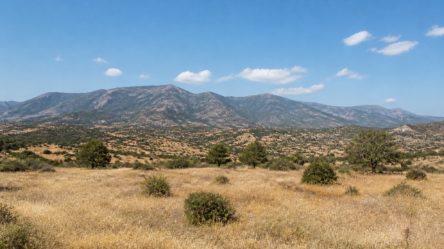Ρεαλιστική, οριζόντια πανοραμική εικόνα κυπριακού θερινού τοπίου με καθαρό ουρανό και λίγες
