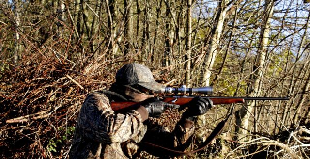 mtorben-hunting-3781222_1920.jpg