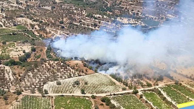 Αεροφωτογραφία της πυρκαγιάς σε γεωργική περιοχή του Αγίου Μάμαντος στη Λεμεσό