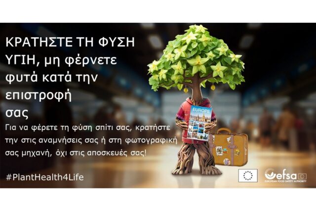 Εικόνα πηγής