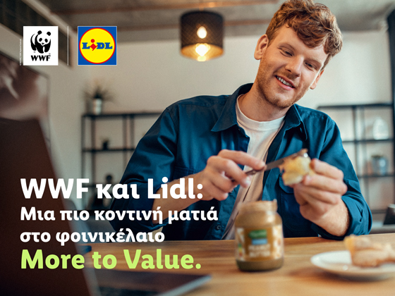 Lidl και WWF επιτυγχάνουν σημαντικά ορόσημα στη βιώσιμη προμήθεια φοινικέλαιου